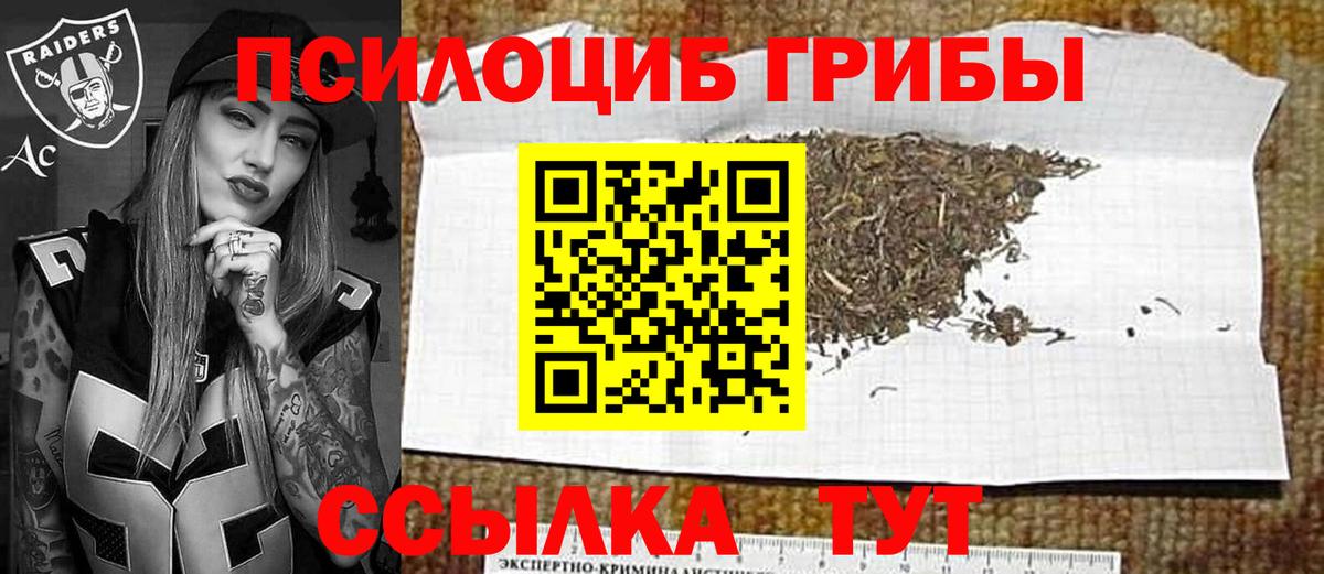 Галлюциногенные грибы Magic Shrooms Дзержинск