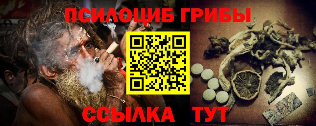 Галлюциногенные грибы Psilocybine cubensis  Вход с VPN  Дзержинск 